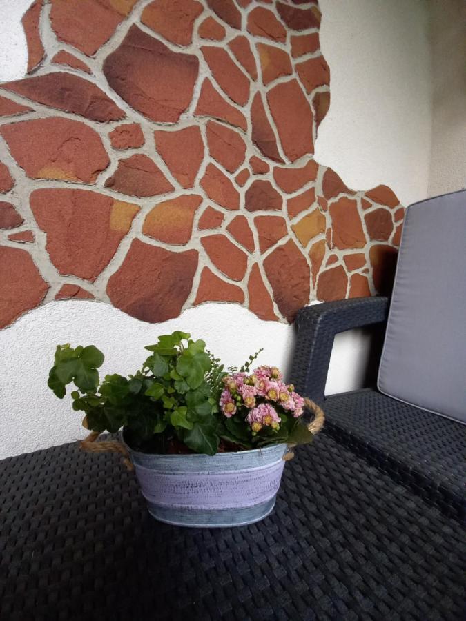 Apartman Erika - Bešeňová Eksteriør bilde